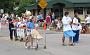 LaValle Parade 2010-327